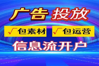 解析某某SEM服务公司的广告投放策略与效果评估